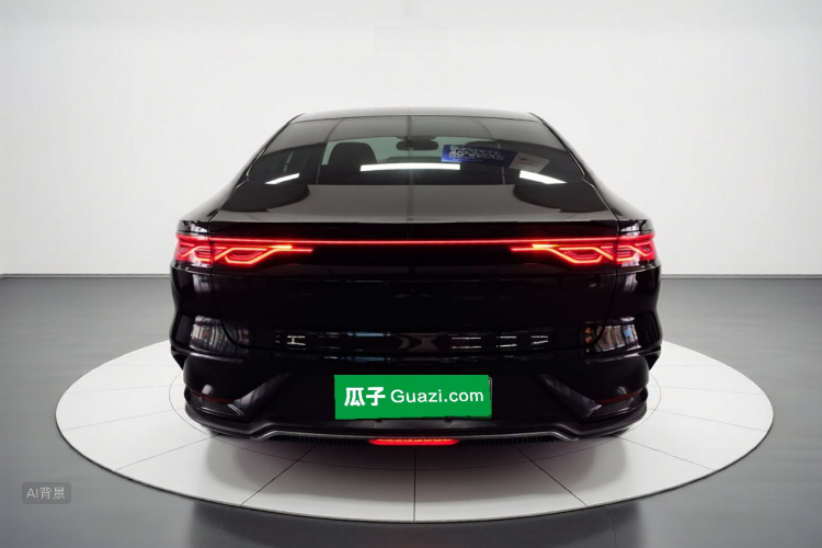 BYD Han 2022 imagen de coche #4