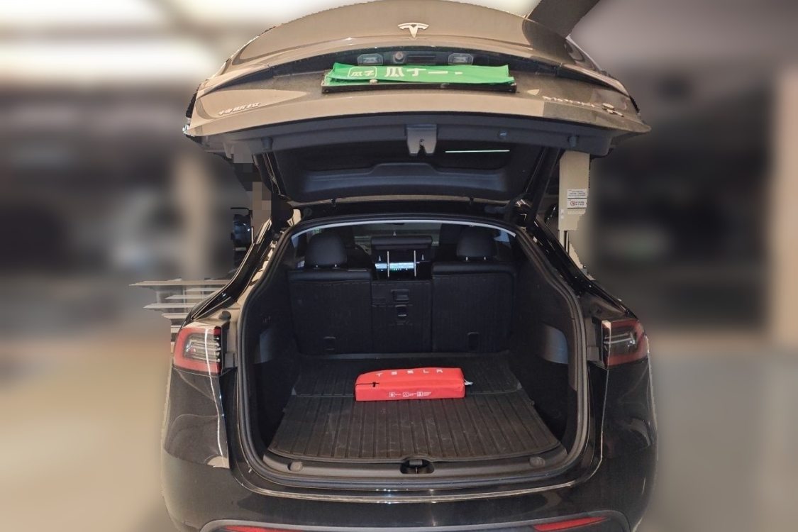 Tesla Model Y 2024 car image #8