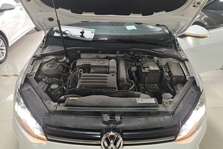 Volkswagen Golf 2020 car image #22