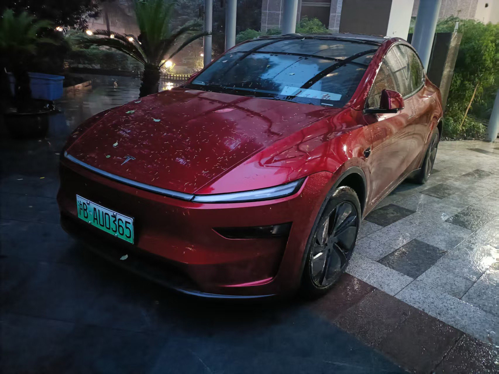 Tesla Model Y 2025 Tesla Model Y 2025 car image