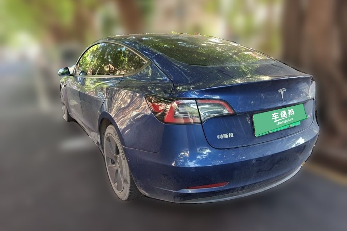 Tesla Model 3 2021 #3 Tesla Model 3 2021 car image #3
