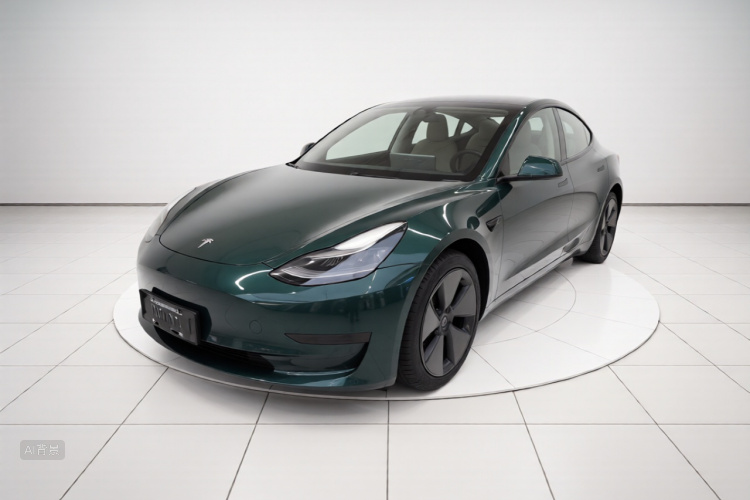 Tesla Model 3 2021 car image #2