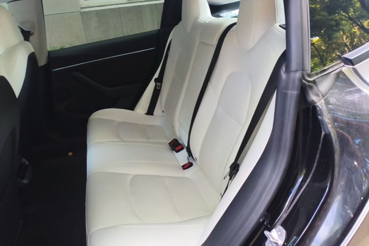 Tesla Model 3 2023 car image #13