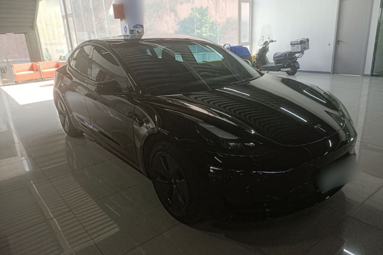 Tesla Model 3 2021 #6 Tesla Model 3 2021 car image #6