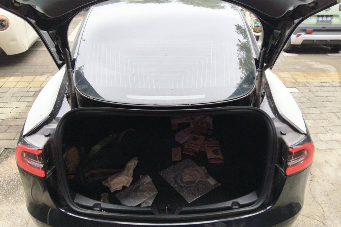 Tesla Model 3 2020 car image #8