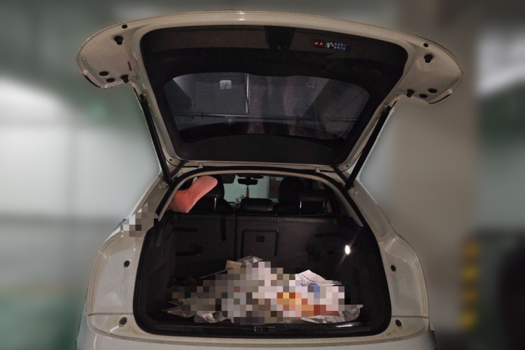 Audi Q3 2018 car image #17