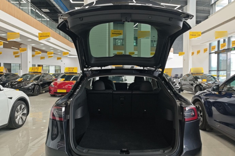 Tesla Model Y 2024 car image #19