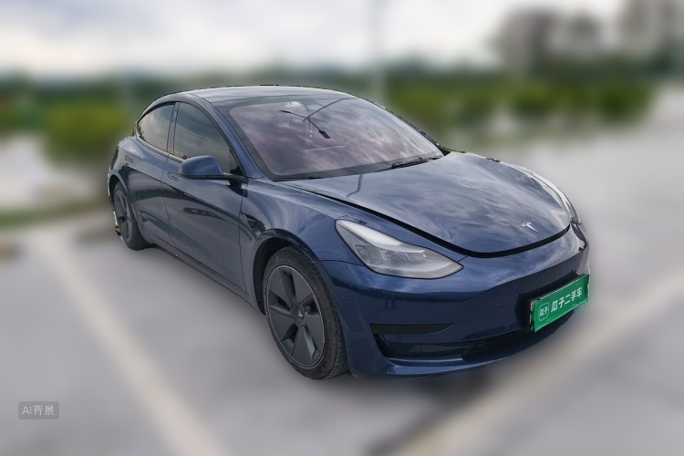 Tesla Model 3 2021 car image #4