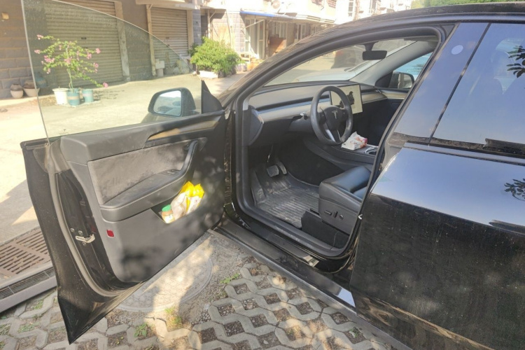 Tesla Model Y 2022 immagine di auto #9