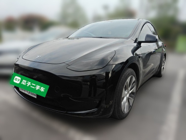 Tesla Model Y 2023 Tesla Model Y 2023 car image