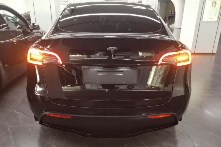 Tesla Model Y 2022 #6 Tesla Model Y 2022 car image #6