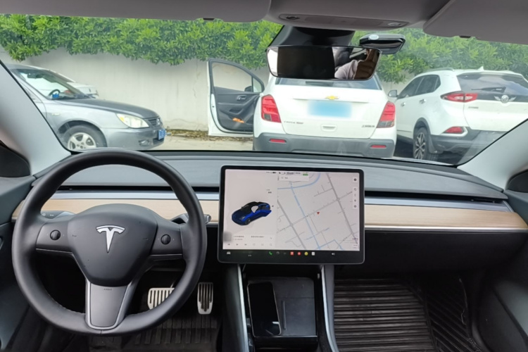 Tesla Model 3 2020 car image #10