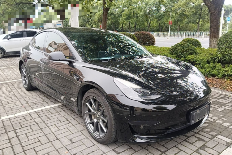 Tesla Model 3 2021 #4 Tesla Model 3 2021 car image #4