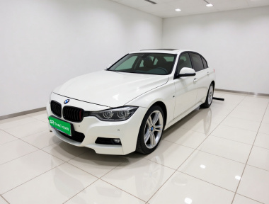 BMW 3 Series 2017 BMW 3 Series 2017 car image