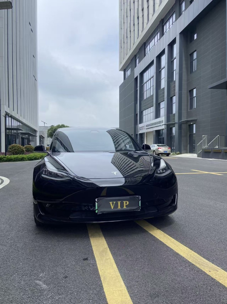 Tesla Model 3 2020 #2 Tesla Model 3 2020 car image #2