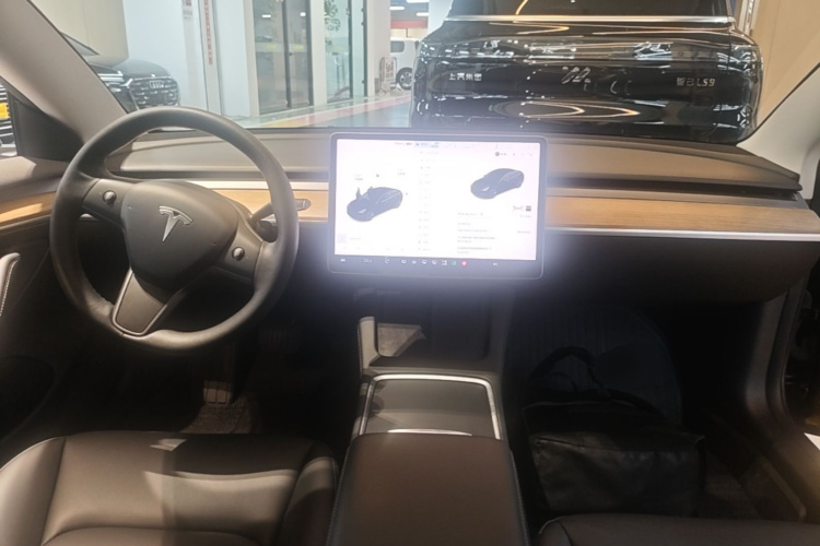 Tesla Model 3 2021 #11 Tesla Model 3 2021 car image #11