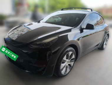 Tesla Model Y 2021 car image 