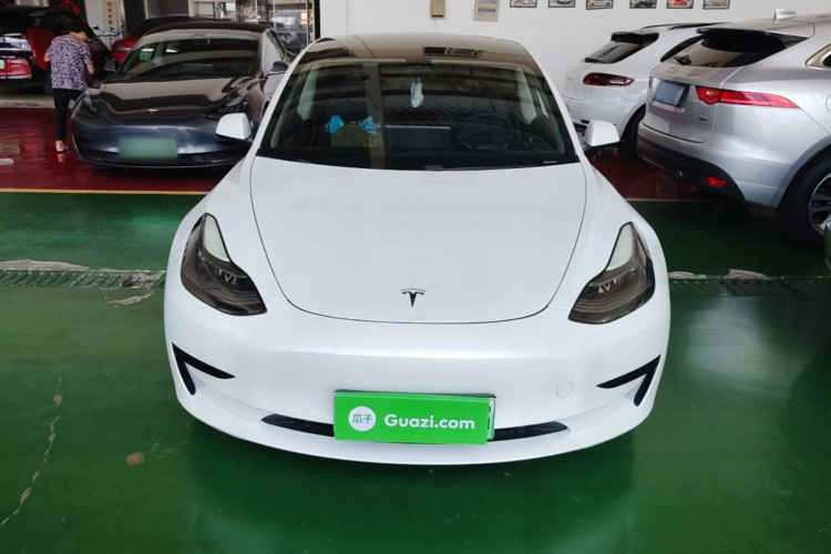 Tesla Model 3 2021 #3 Tesla Model 3 2021 car image #3