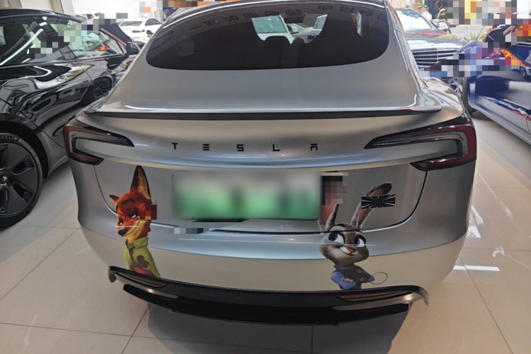 Tesla Model 3 2024 car image #6