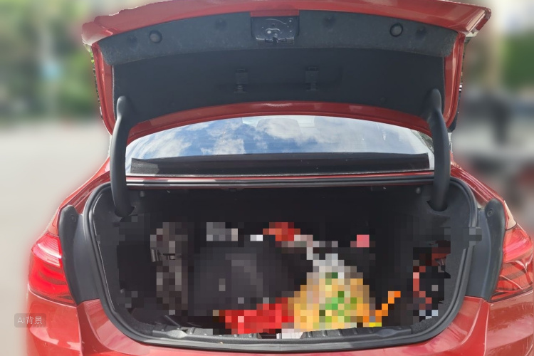 BMW 3 Series 2017 car image #21