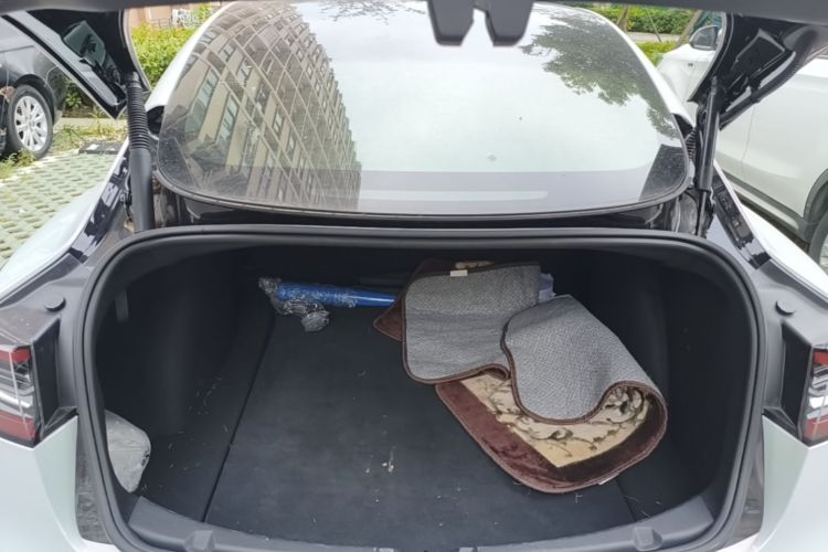 Tesla Model 3 2021 car image #19