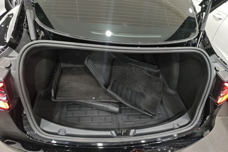Tesla Model 3 2021 car image #19