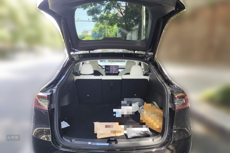 Tesla Model Y 2023 #21 Tesla Model Y 2023 car image #21