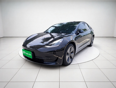 Tesla Model 3 2023 Tesla Model 3 2023 car image