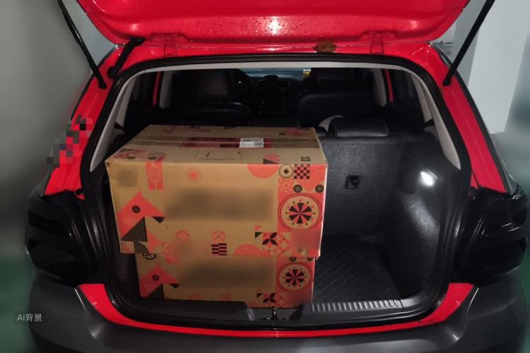 Volkswagen Polo 2015 car image #21
