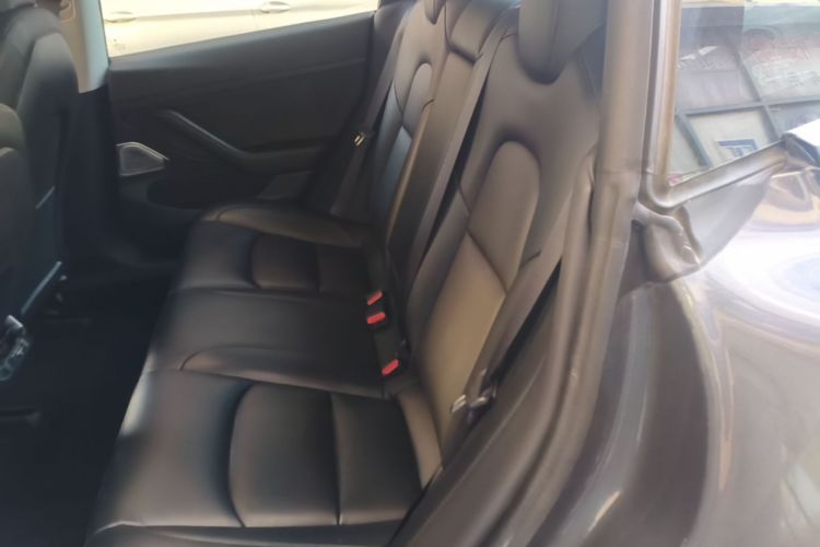 Tesla Model 3 2020 #17 Tesla Model 3 2020 car image #17
