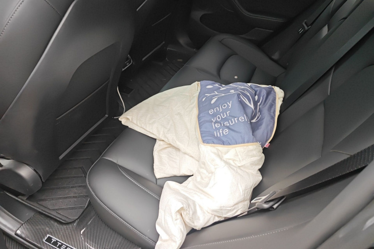 Tesla Model 3 2023 car image #14