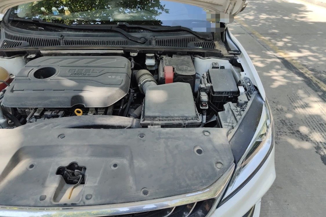 GEELY Binray 2020 #12 GEELY Binray 2020 immagine di auto #12