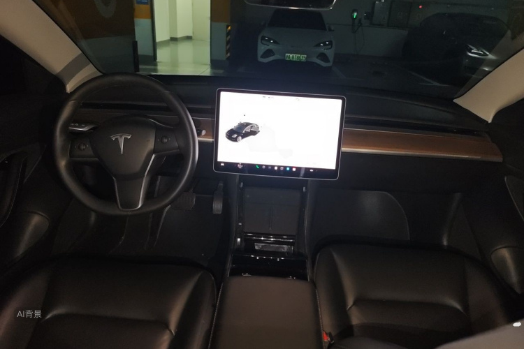 Tesla Model 3 2020 car image #11