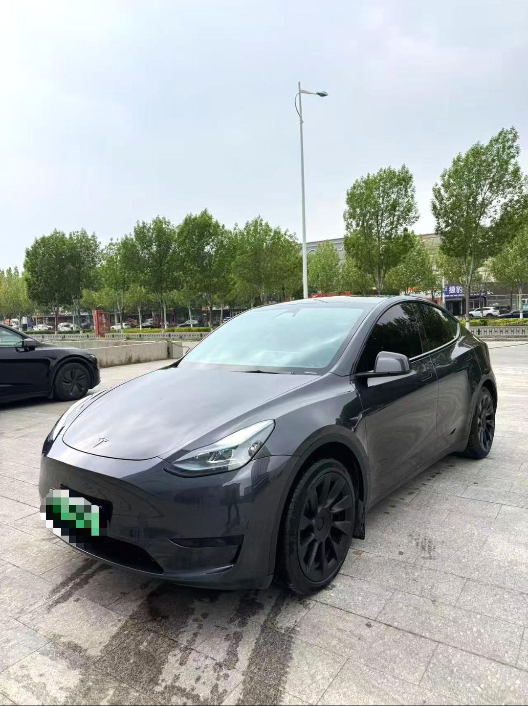 Tesla Model Y 2024 Tesla Model Y 2024 car image