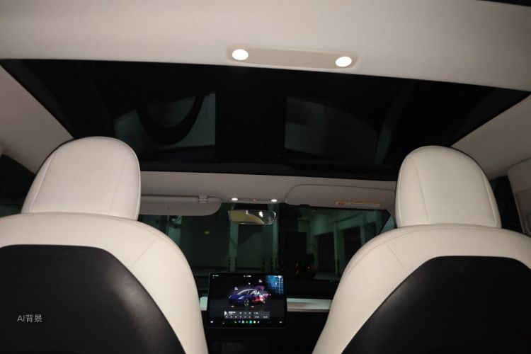 Tesla Model 3 2022 car image #20