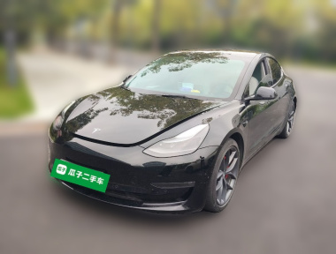 Tesla Model 3 2022 immagine di auto 