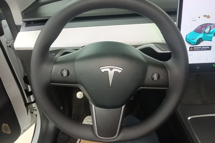 Tesla Model Y 2021 car image #11