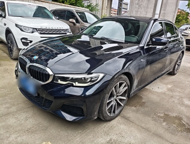 BMW 3 Series 2020 car image 