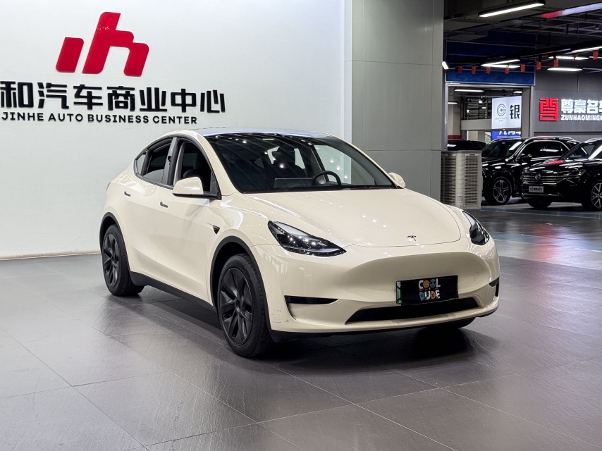 Tesla Model Y 2024 car image #3