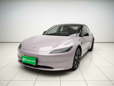 Tesla Model 3 2024 car image 