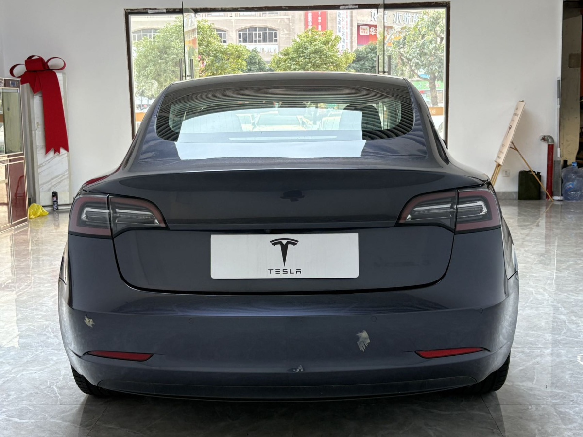 Tesla Model 3 2020 car image #8