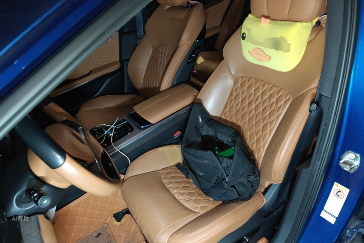 BYD Han 2021 car image #17