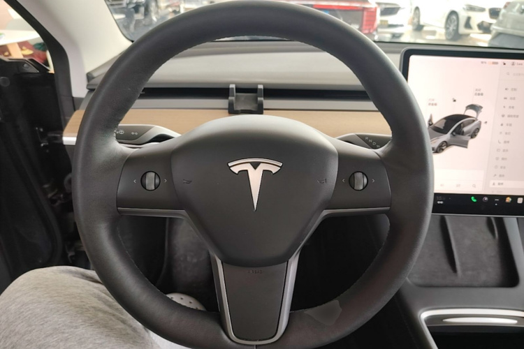 Tesla Model 3 2021 #11 Tesla Model 3 2021 car image #11