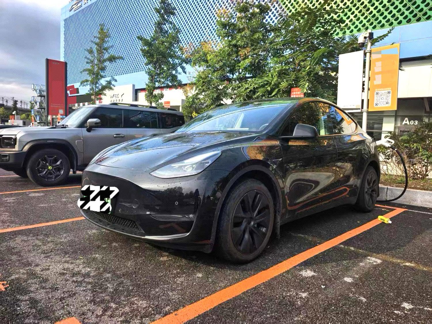Tesla Model Y 2024 Tesla Model Y 2024 car image