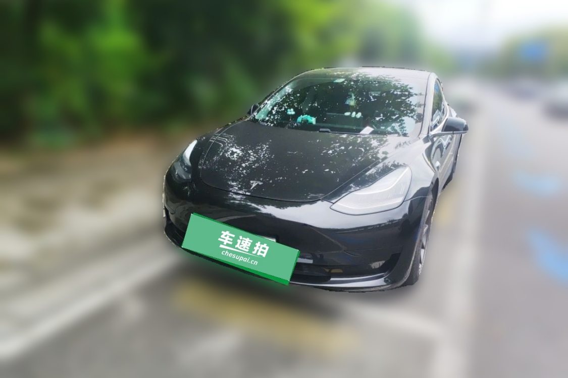 Tesla Model 3 2020 Tesla Model 3 2020 car image