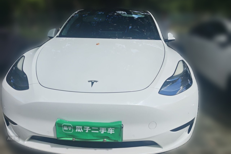 Tesla Model Y 2022 #3 Tesla Model Y 2022 car image #3