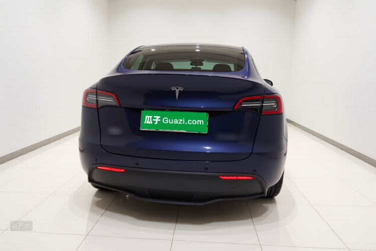 Tesla Model Y 2021 car image #6