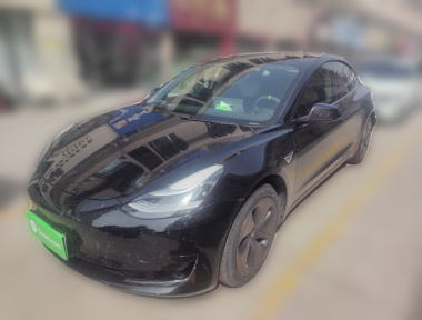 Tesla Model 3 2020 Tesla Model 3 2020 car image