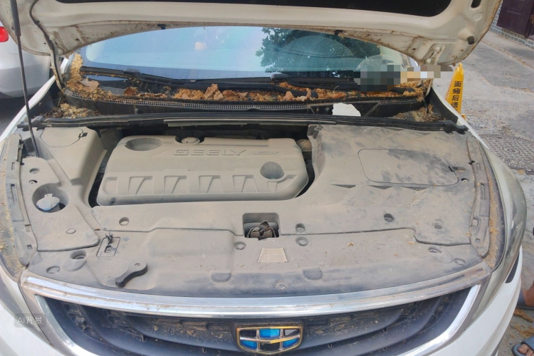 GEELY Emgrand GS 2016 #22 GEELY Emgrand GS 2016 immagine di auto #22
