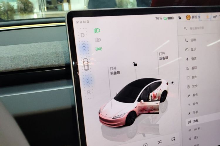 Tesla Model 3 2024 car image #14